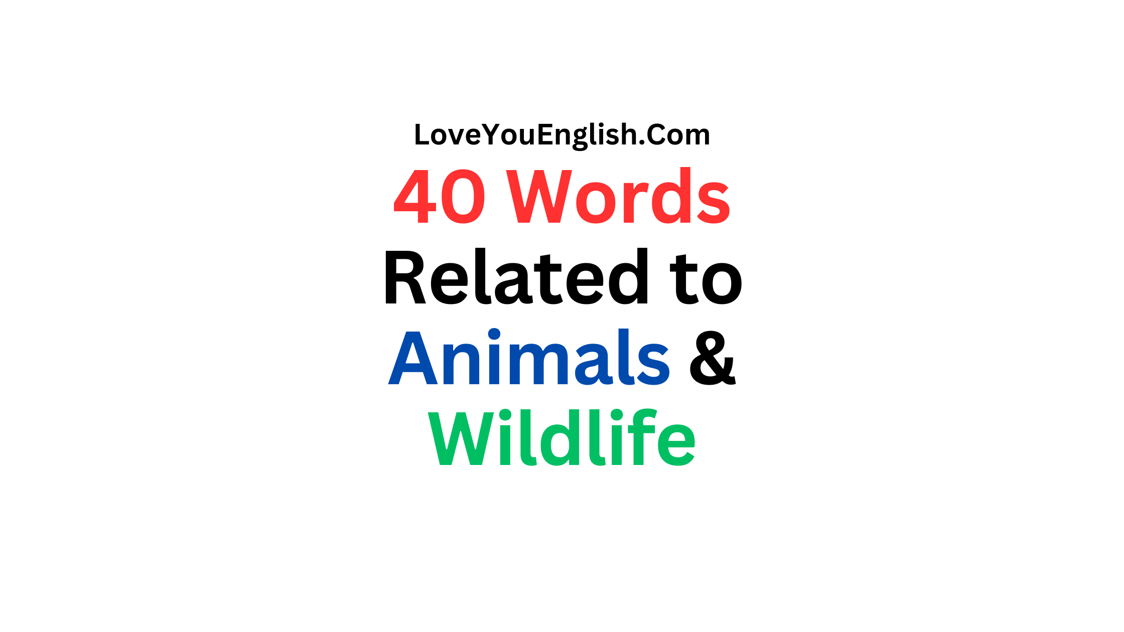 40 Words Related to Animals and Wildlife