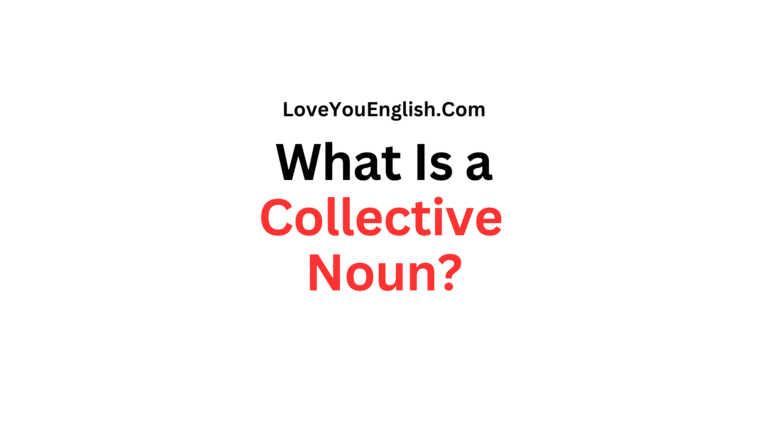 What Is a Collective Noun