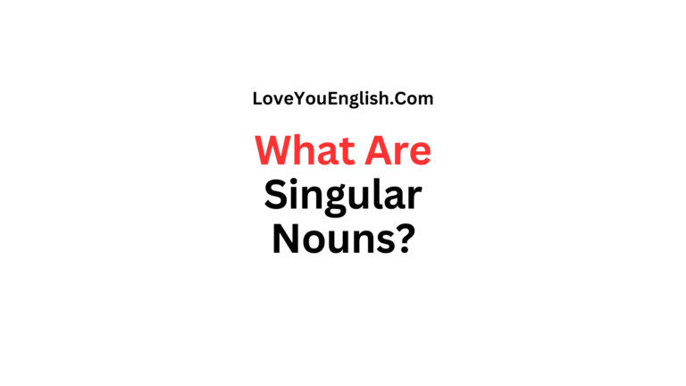 What Are Singular Nouns, and How Do They Work?