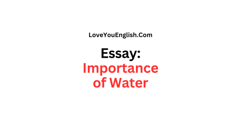 Essay About the Importance of Water